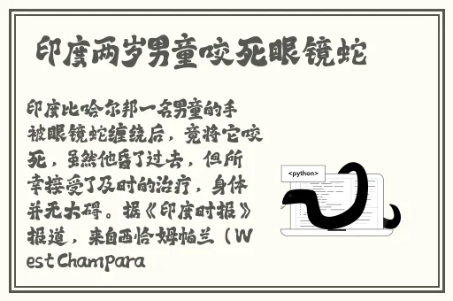 伊人久久精品久久亚洲一区